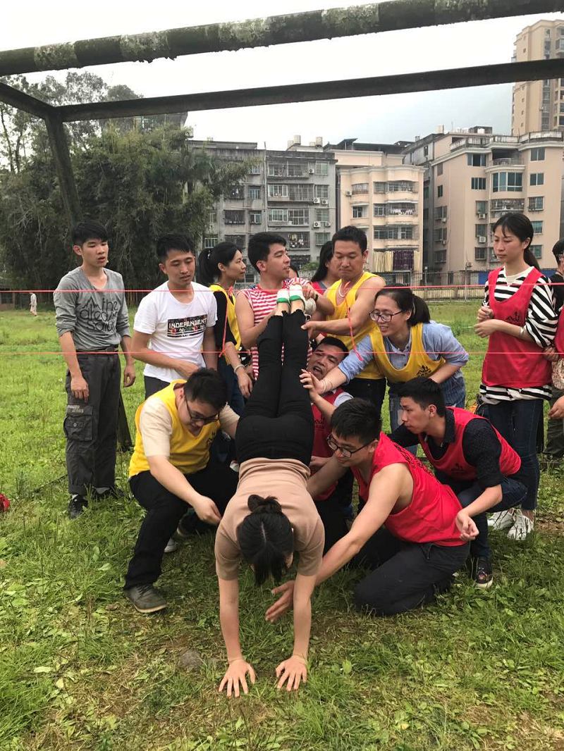 金牌单双王牌单双中特
